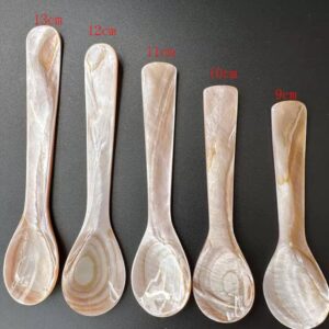 Ложки из раковин 9-13 см