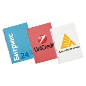 Ежедневник "Бизнес" с прозрачной обложкой