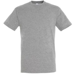 Фуфайка (футболка) REGENT мужская,Серый меланж XS