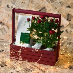 Подарочный набор "СИЛА ПРИТЯЖЕНИЯ"