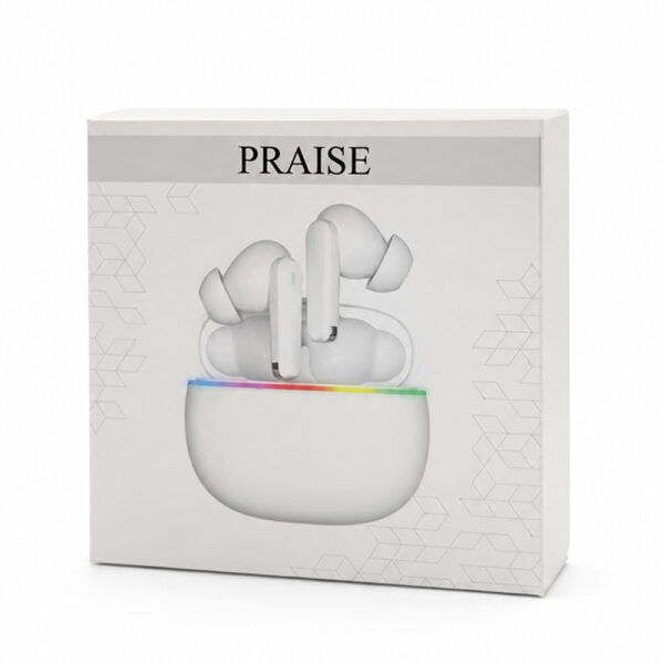 Наушники беспроводные Bluetooth Praise, белые